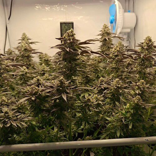 480970951_122169240224293599_1002648967910689893_n