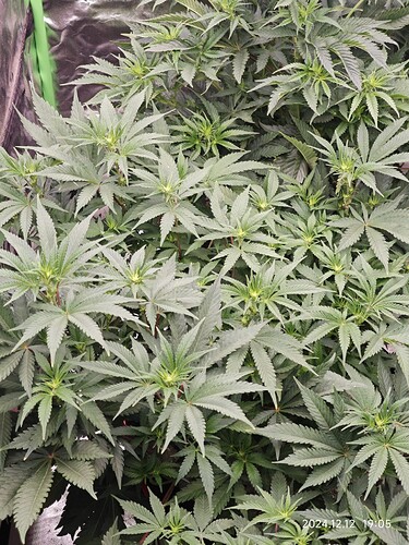 Growreport Bild 24