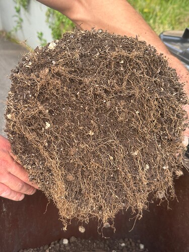 Growreport Bild 12
