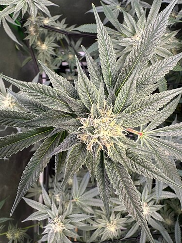 Growreport Bild 14