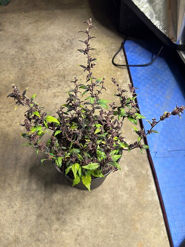 Growreport Bild 14