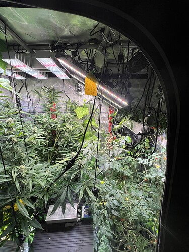 Growreport Bild 7