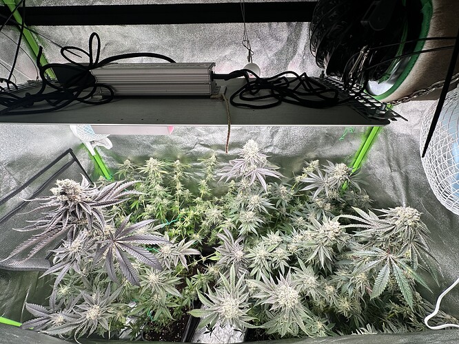 Growreport Bild 1