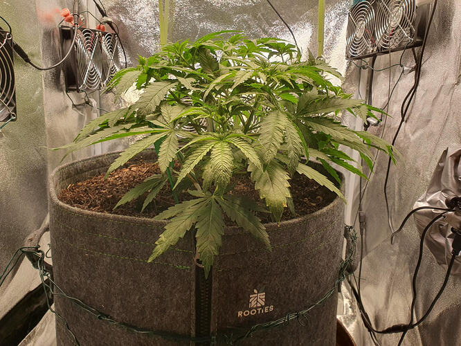 Tag 29 -2026-03-05-214446_008