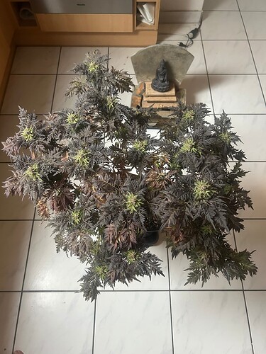 Growreport Bild 10