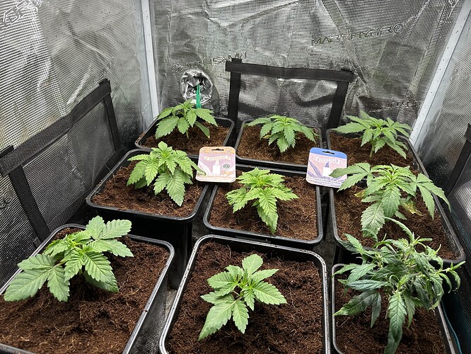 Growreport Bild 3