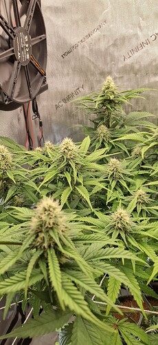 Growreport Bild 3