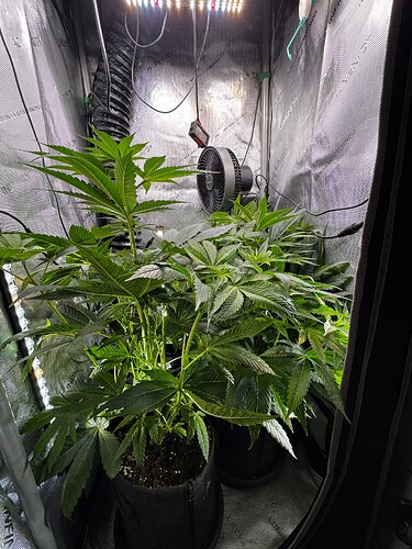 Growreport Bild 4