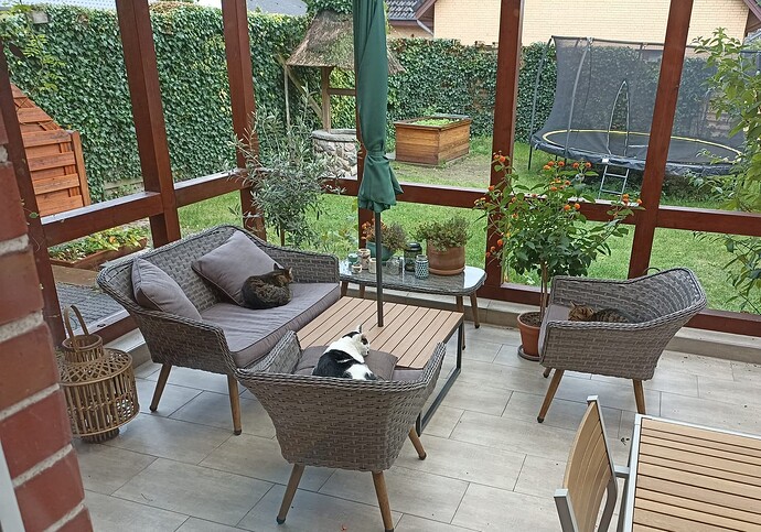 WhatsApp Bild 2024-09-25 um 18.44.27_08c227a9