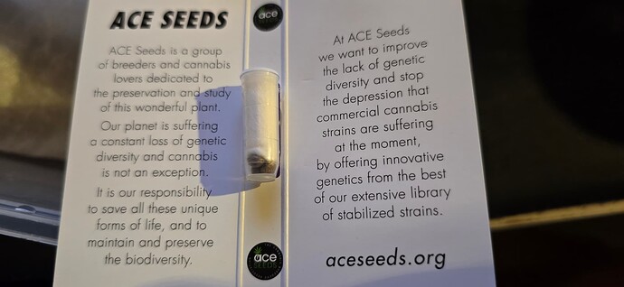 Growreport Bild 33