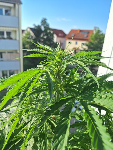 Growreport Bild 13