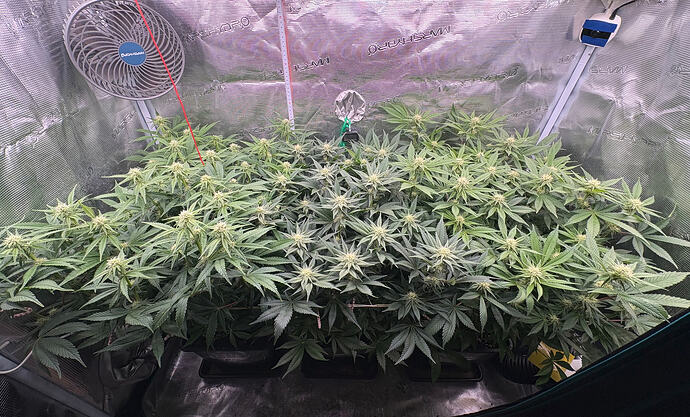 Foto 10.01.26, 06 11 47