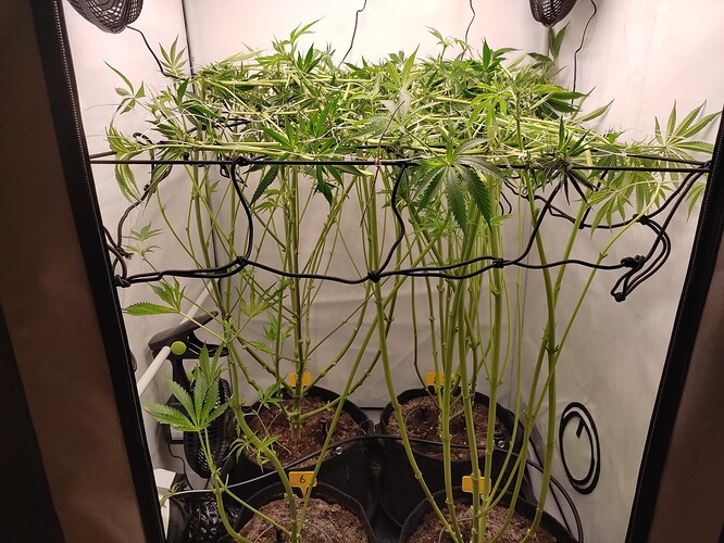 Growreport Bild 22