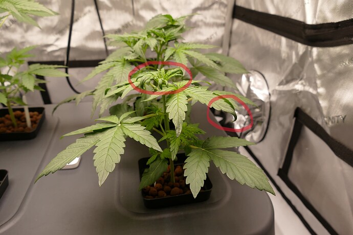 Growreport Bild 5