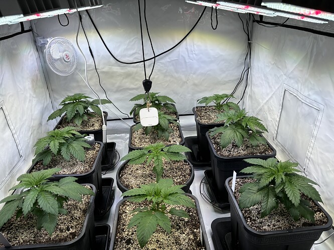 Growreport Bild 19