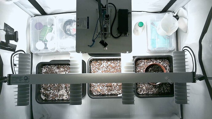 Growreport Bild 3