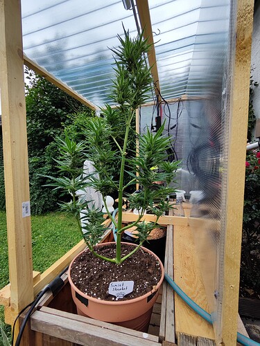 Growreport Bild 1