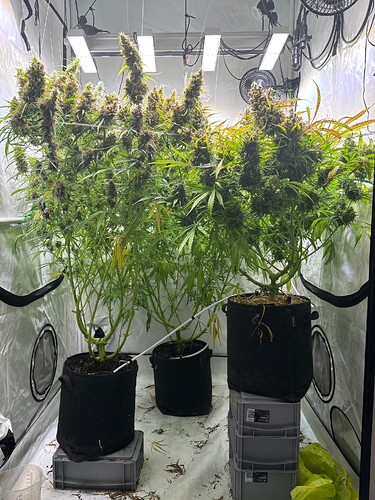 Growreport Bild 12