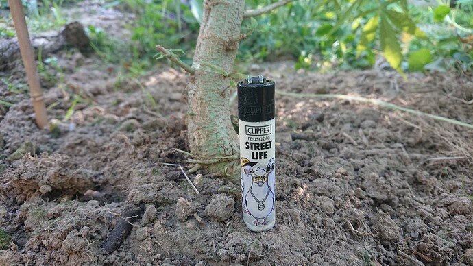 Growreport Bild 53