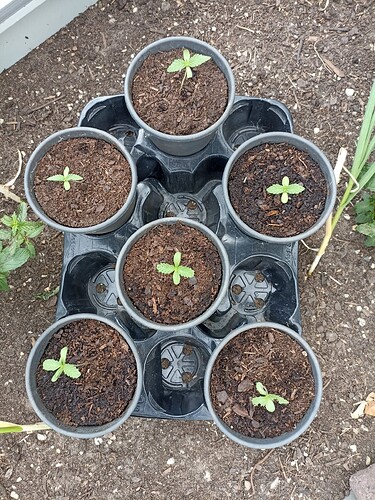 WhatsApp Bild 2025-05-21 um 18.51.13_e64590f9