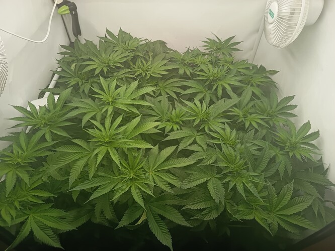 Growreport Bild 17