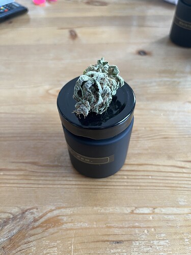 Growreport Bild 5