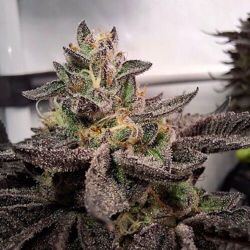 480457440_122169925364293599_3258995445641550132_n