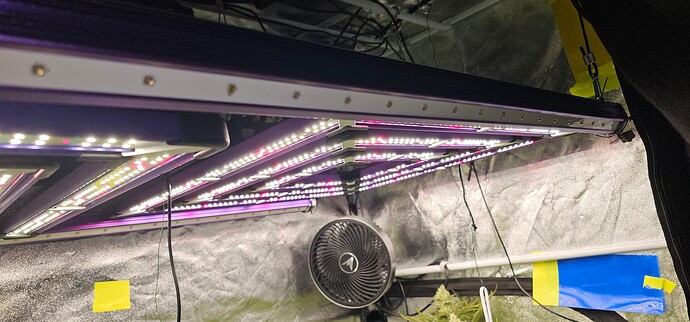Growreport Bild 49