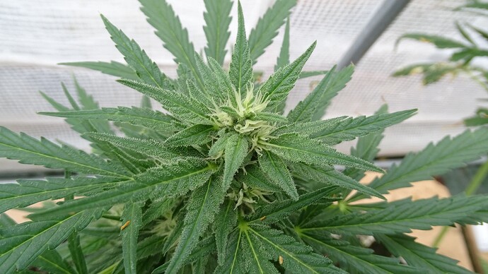 Growreport Bild 17