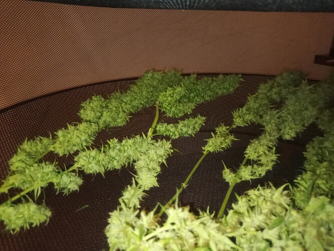 Growreport Bild 10