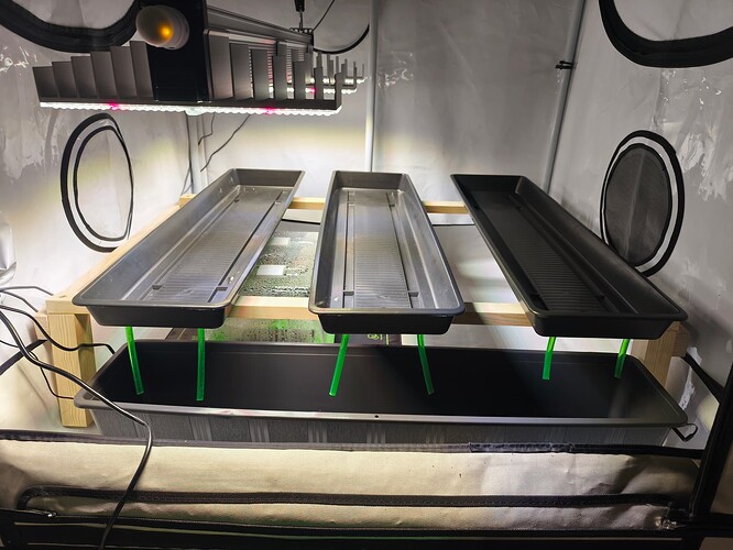 Growreport Bild 4
