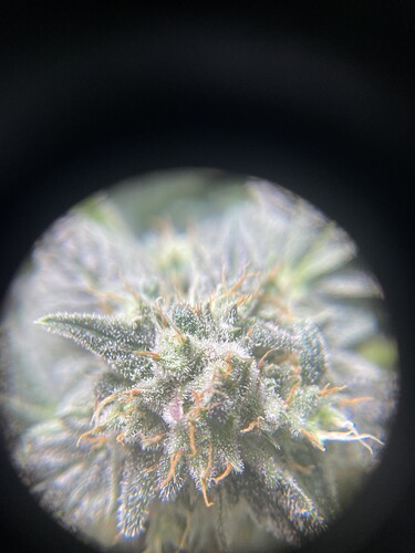 Growreport Bild 10