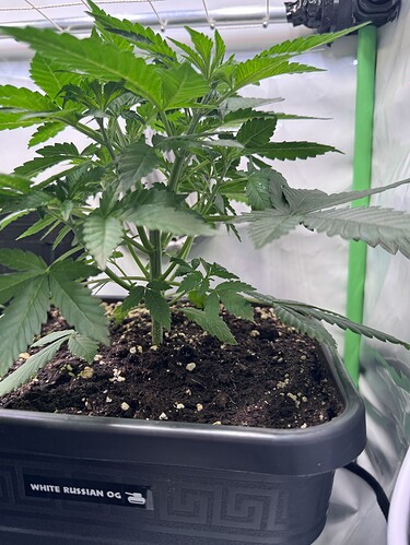 Growreport Bild 26