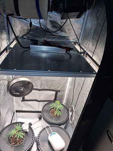 WhatsApp Image 2026-02-02 at 10.58.41