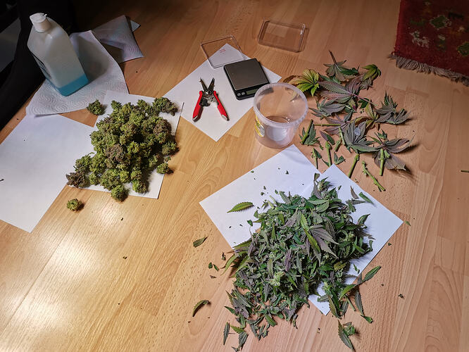 Growreport Bild 6