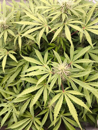 Growreport Bild 10