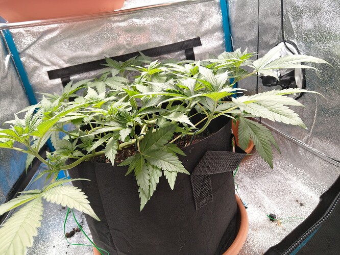 Growreport Bild 7