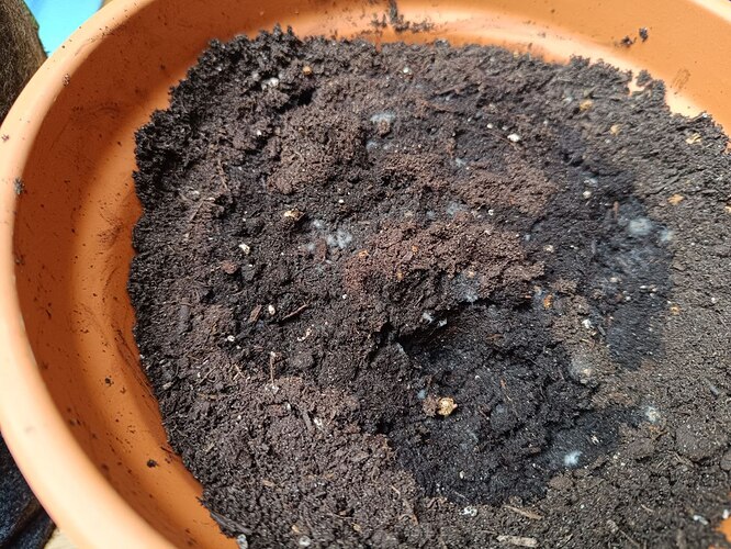 photo_2024-03-31_17-04-14 (3)