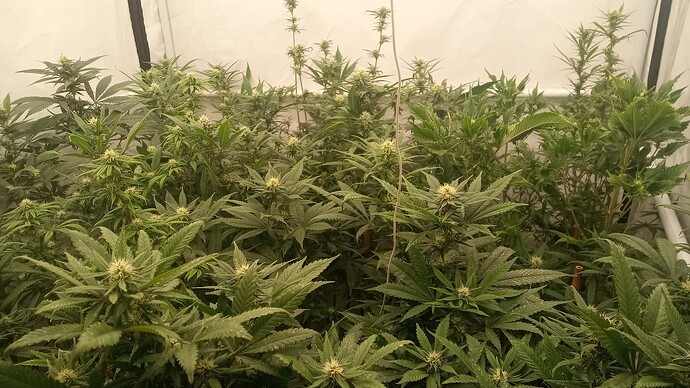 Growreport Bild 10