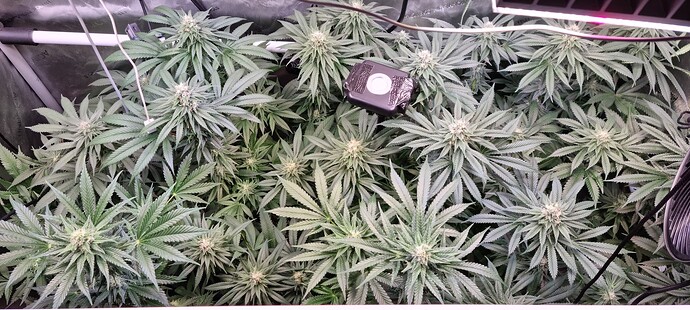 Growreport Bild 11