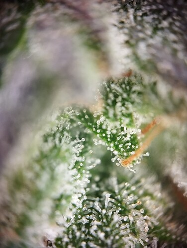 Growreport Bild 9