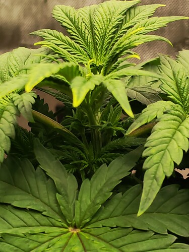 Growreport Bild 7