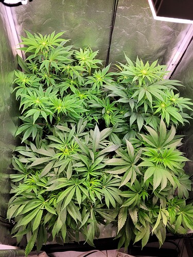 Growreport Bild 9