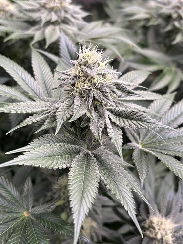 Growreport Bild 20