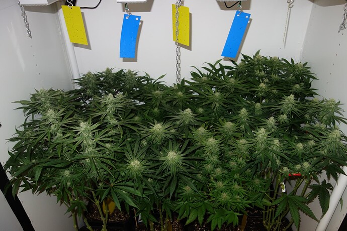 Growreport Bild 2