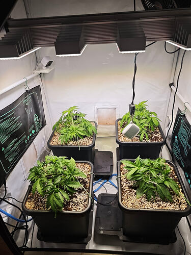 Growreport Bild 13