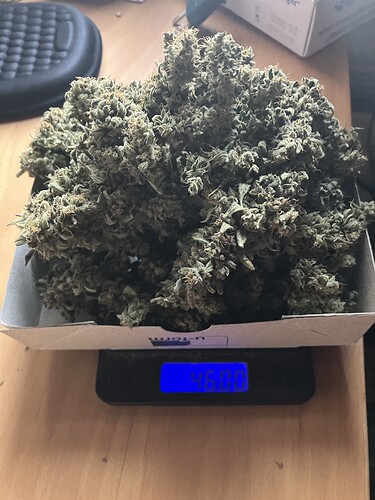 Growreport Bild 10