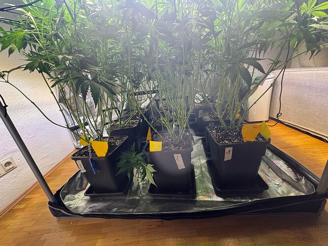 Growreport Bild 2