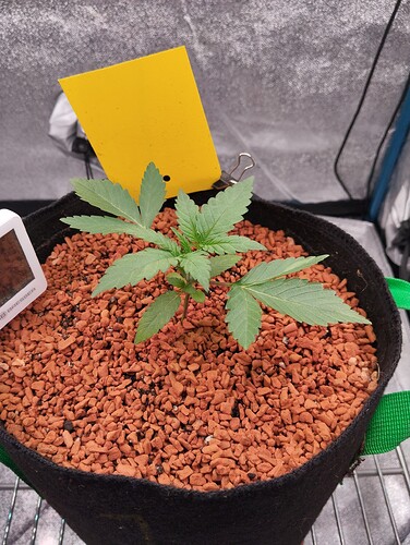 Growreport Bild 1