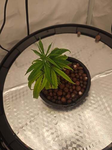 Growreport Bild 9